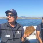 Naturalists with Bull Kelp